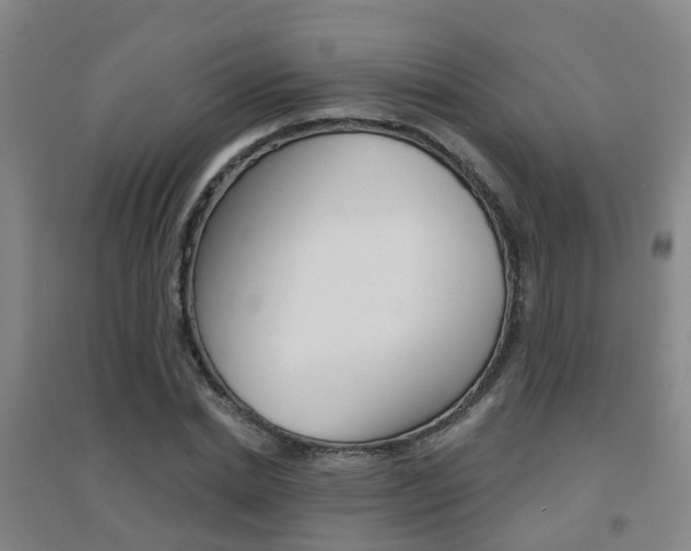 X0000094460830200711081057
