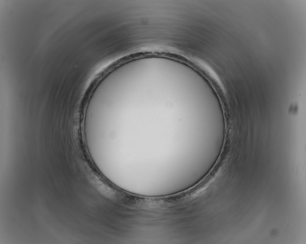 X0000094460831200711081057