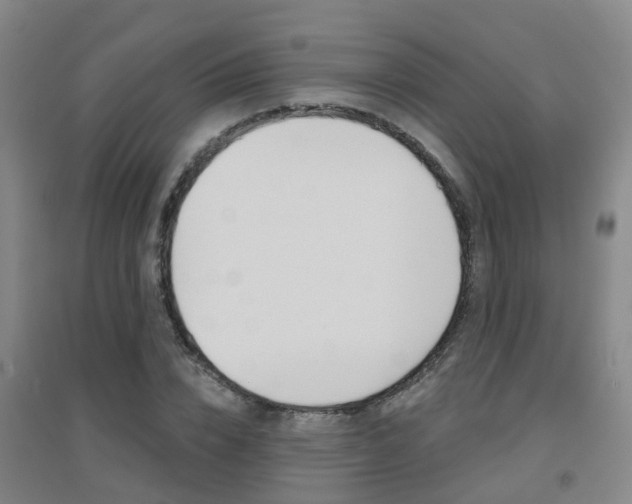 X0000094460832200711081057