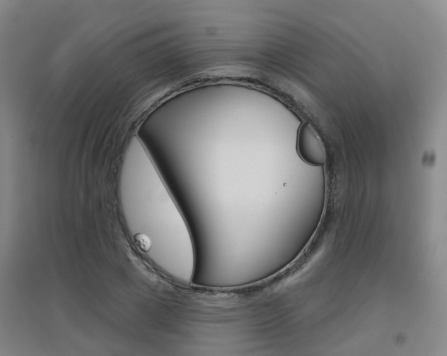 X0000094460833200711081057