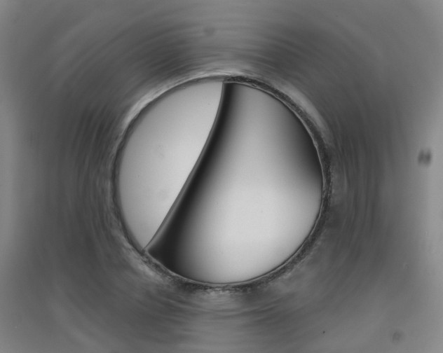 X0000094460834200711081057