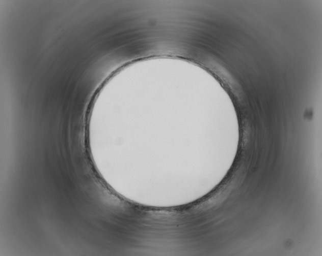 X0000094460836200711081057