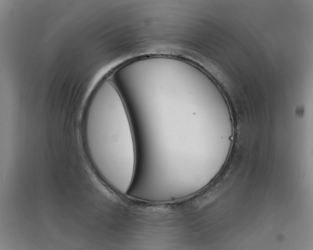 X0000094460838200711081057