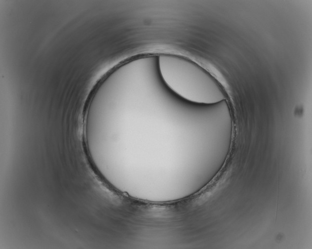 X0000094460839200711081057