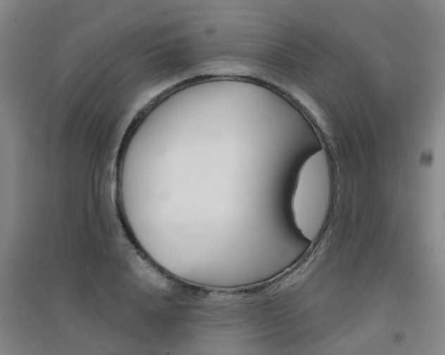 X0000094460840200711081057