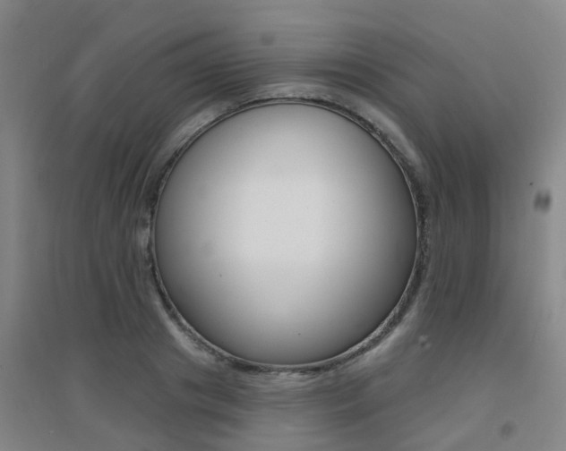 X0000094460841200711081057