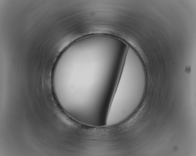 X0000094460842200711081057