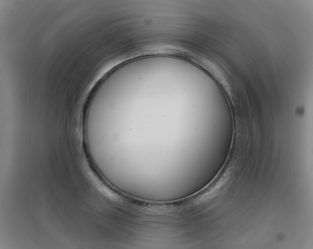 X0000094460843200711081057