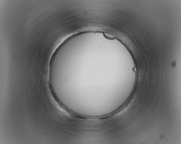 X0000094460844200711081057