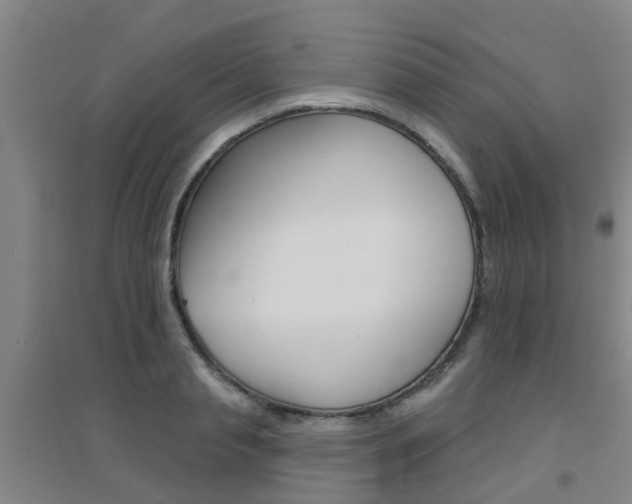 X0000094460845200711081057