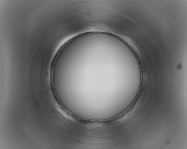 X0000094460846200711081057