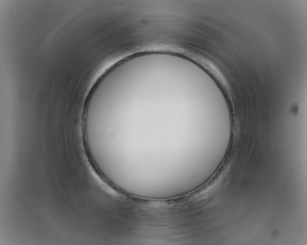 X0000094460847200711081057
