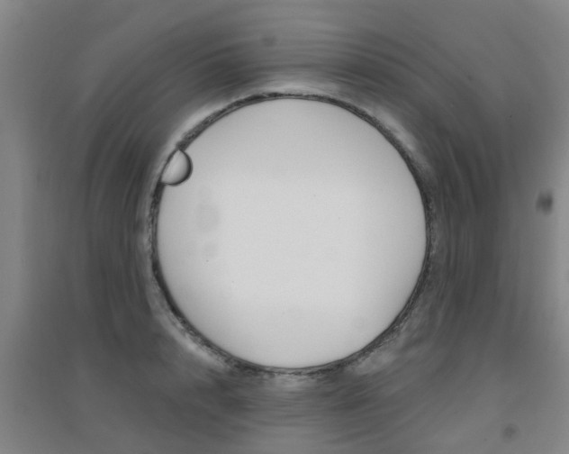 X0000094460848200711081057