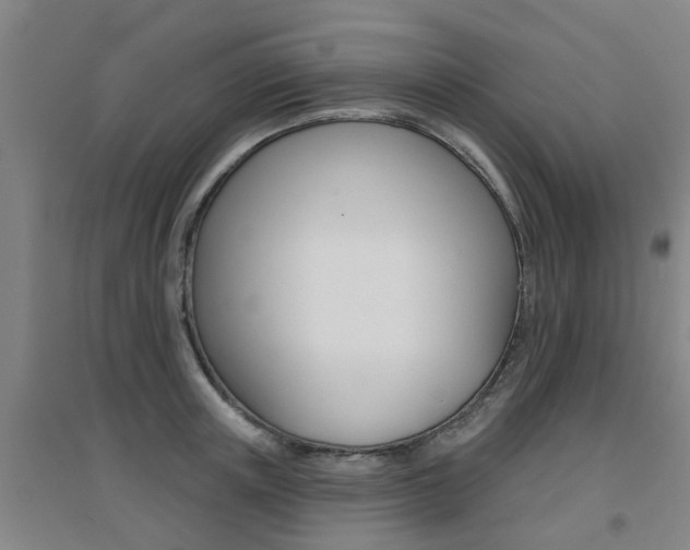 X0000094460851200711081057