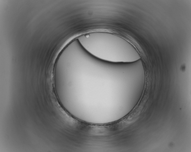 X0000094460852200711081057