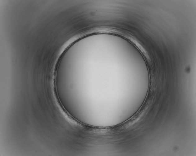 X0000094460853200711081057