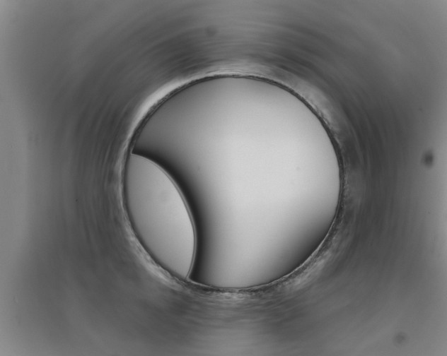 X0000094460854200711081057