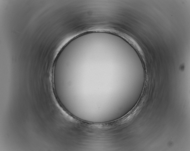 X0000094460855200711081057