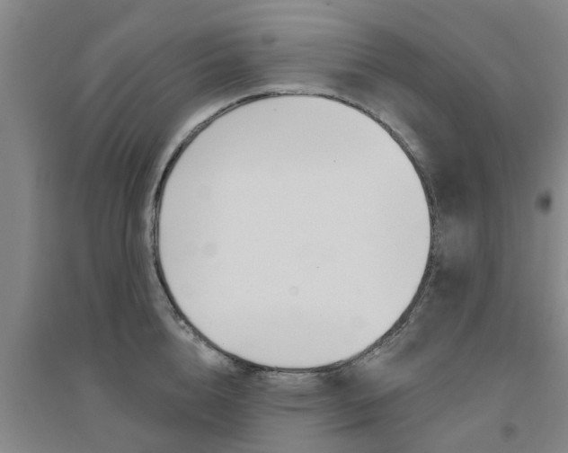 X0000094460856200711081057