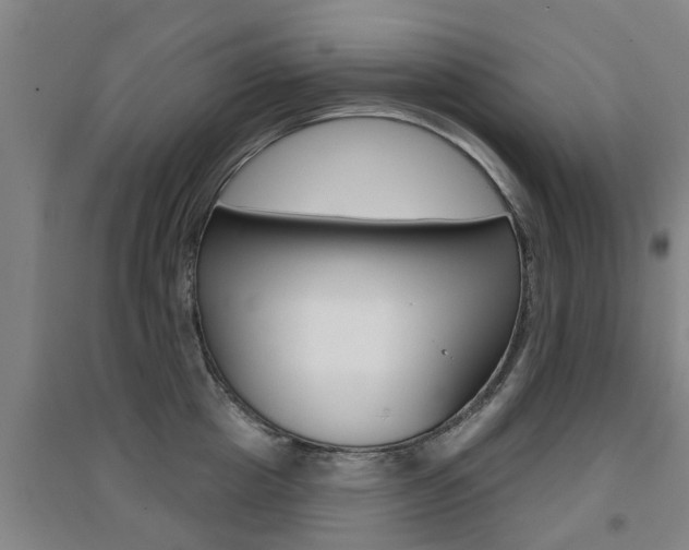 X0000094460857200711081057