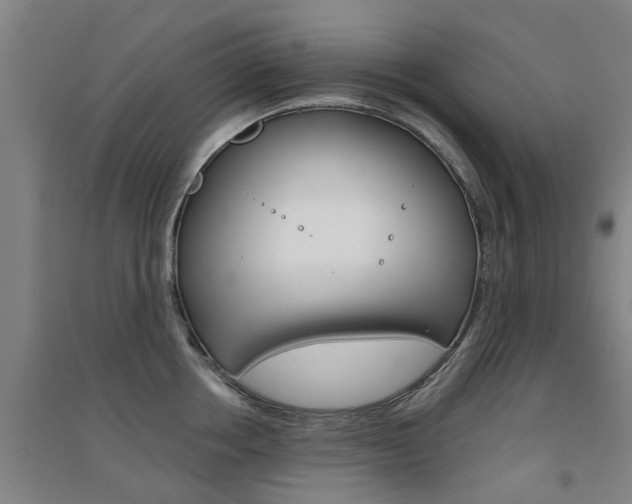 X0000094460858200711081057