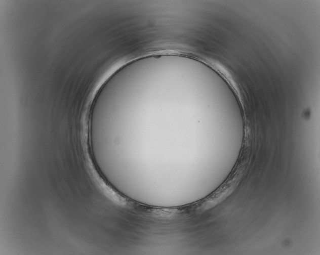 X0000094460859200711081057
