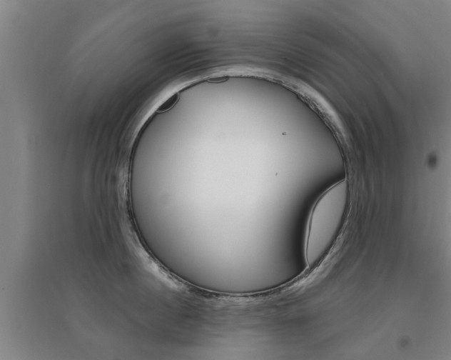 X0000094460860200711081057