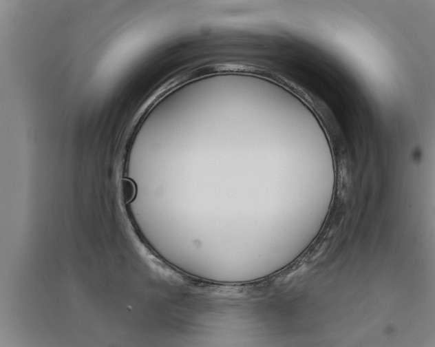 X0000094460861200711081057