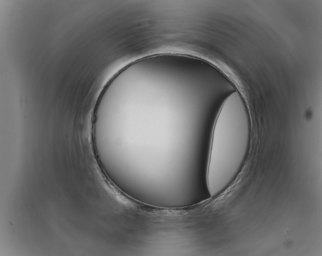 X0000094460862200711081057