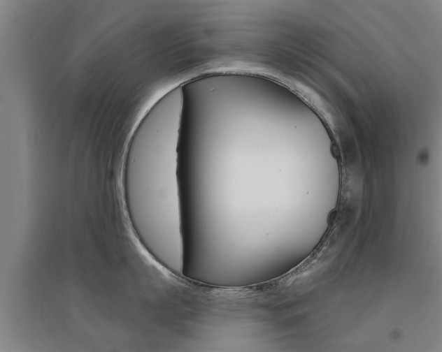 X0000094460863200711081057