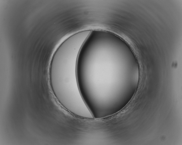 X0000094460864200711081057