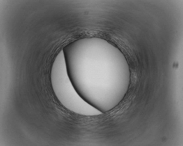 X0000094460865200711081057
