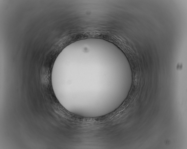 X0000094460866200711081057