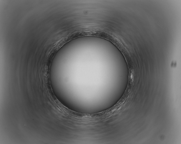 X0000094460867200711081057