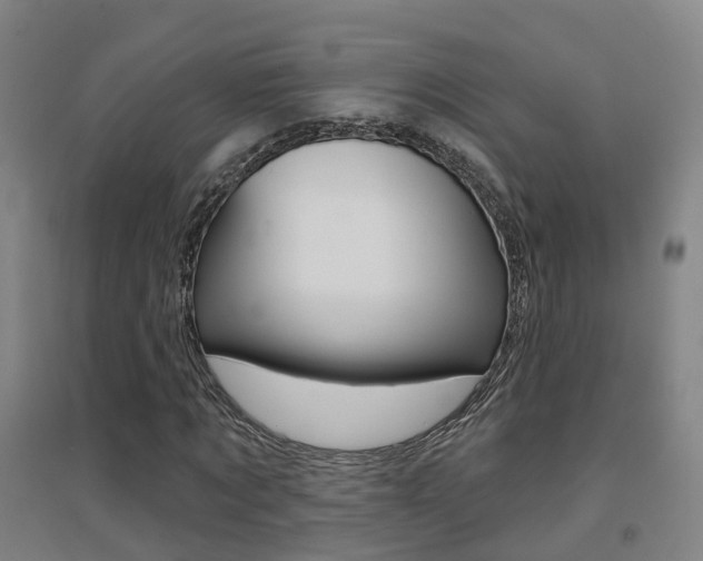 X0000094460869200711081057