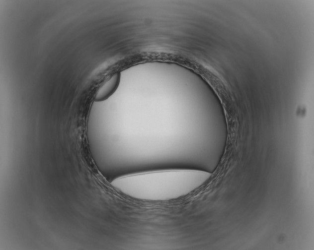 X0000094460870200711081057