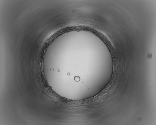 X0000094460871200711081057