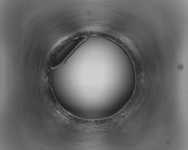 X0000094460872200711081057
