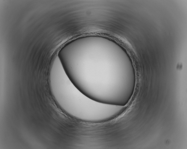 X0000094460873200711081057