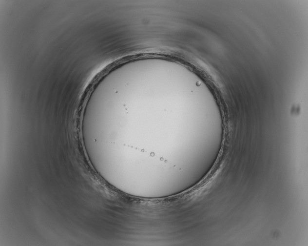 X0000094460875200711081057