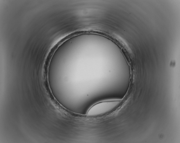 X0000094460876200711081057