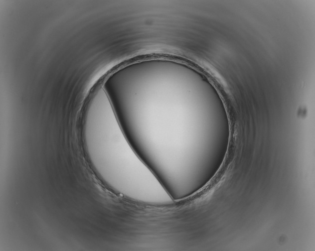 X0000094460877200711081057