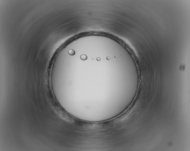 X0000094460879200711081056