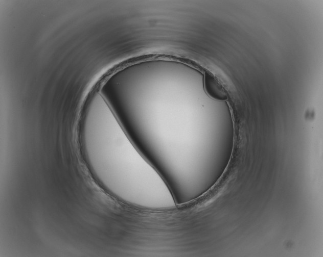 X0000094460880200711081056