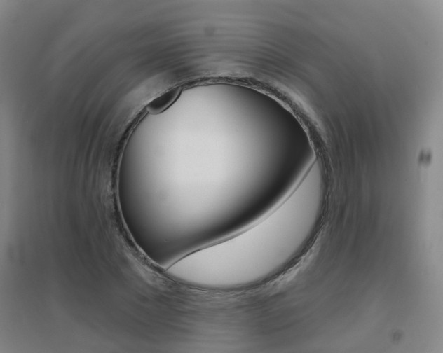 X0000094460881200711081056