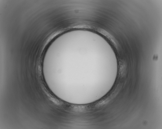 X0000094460882200711081056