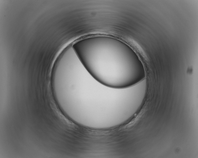X0000094460884200711081056