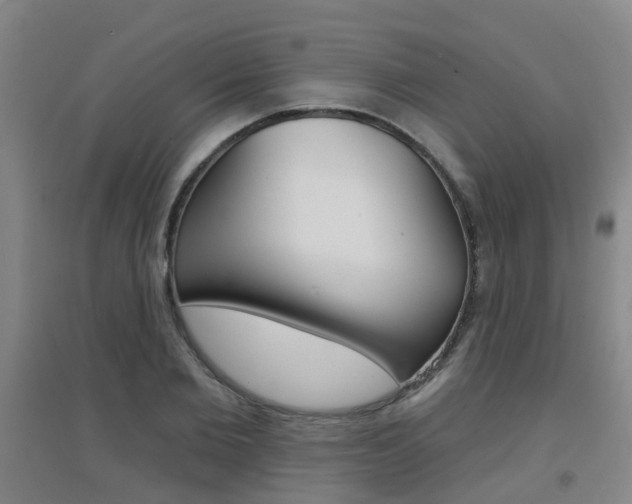 X0000094460885200711081056