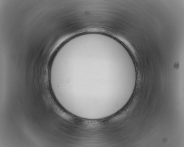 X0000094460886200711081056