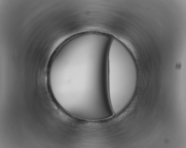 X0000094460888200711081056